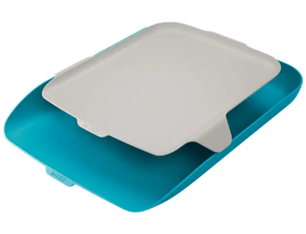 Imagen Bandeja organizadora plastico leitz cosy azul 274x62x391 mm