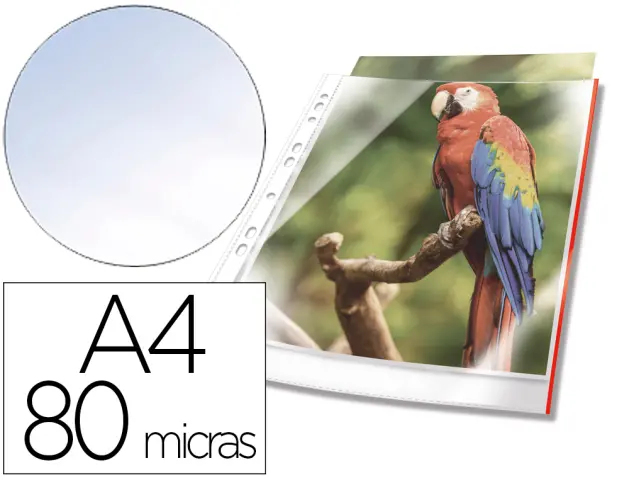 Imagen Funda multitaladro durable premium din a4 polipropileno 80 mc cristal con borde color rojo bolsa de 10 unidades