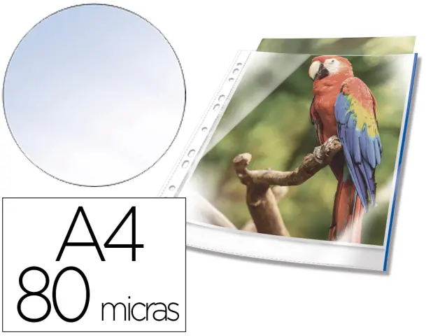 Imagen Funda multitaladro durable premium din a4 polipropileno 80 mc cristal con borde color azul bolsa de 10 unidades