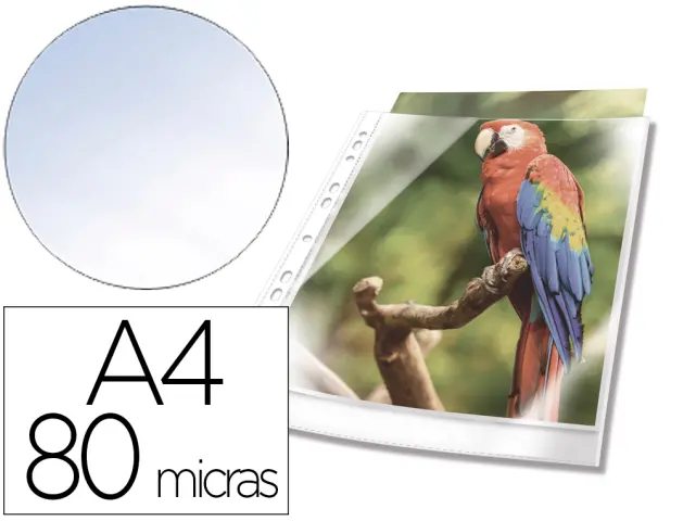 Imagen Funda multitaladro durable premium din a4 polipropileno 80 mc cristal con borde color blanco bolsa de 10 unidades