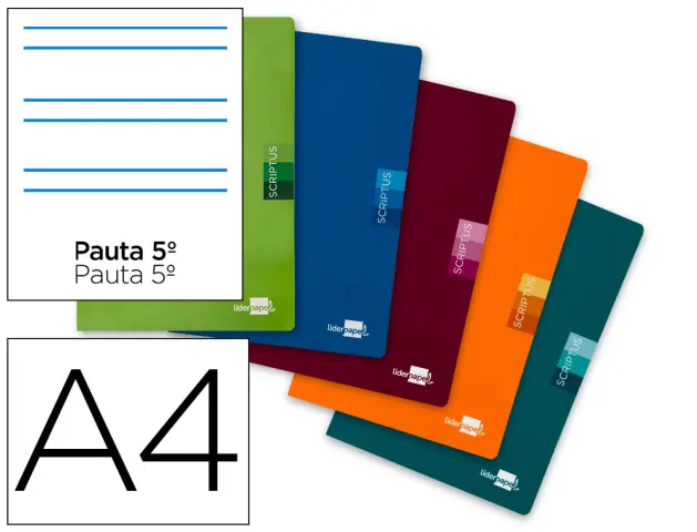 Imagen Libreta liderpapel scriptus a4 48 hojas 90g/m2 rayado montessori 5mm con margen colores surtidos