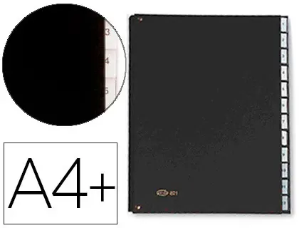 Imagen Carpeta clasificadora fuelle pardo carton compacto folio 12 departamentos visor doble personalizables color negro