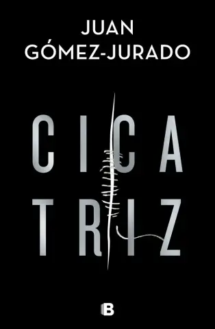 Imagen Cicatriz