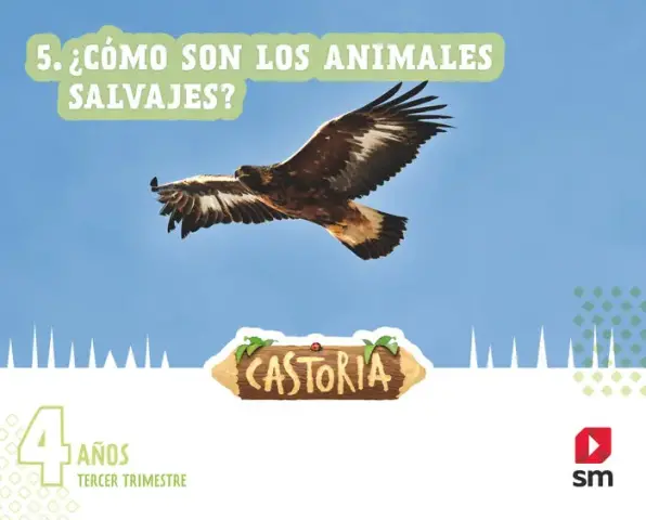 Imagen 4 AOS CASTORIA 3T